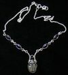 Sterling Silver Elrathia Trilobite Necklace #8584-1